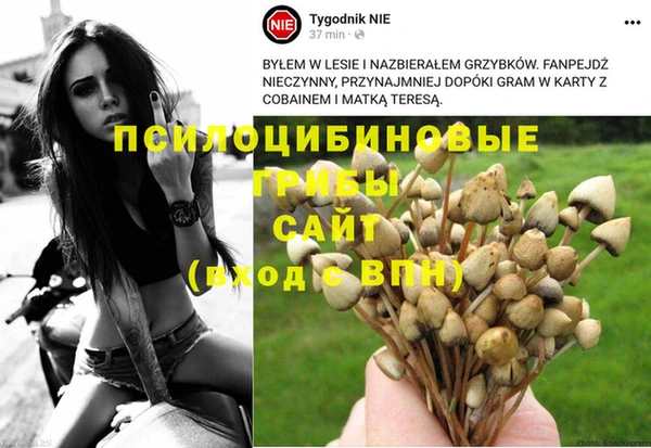 PSILOCYBIN Магадан