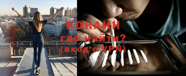 дмт Шали