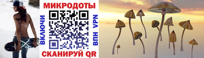 купить наркоту  Чёрмоз  Псилоцибиновые грибы прущие грибы 